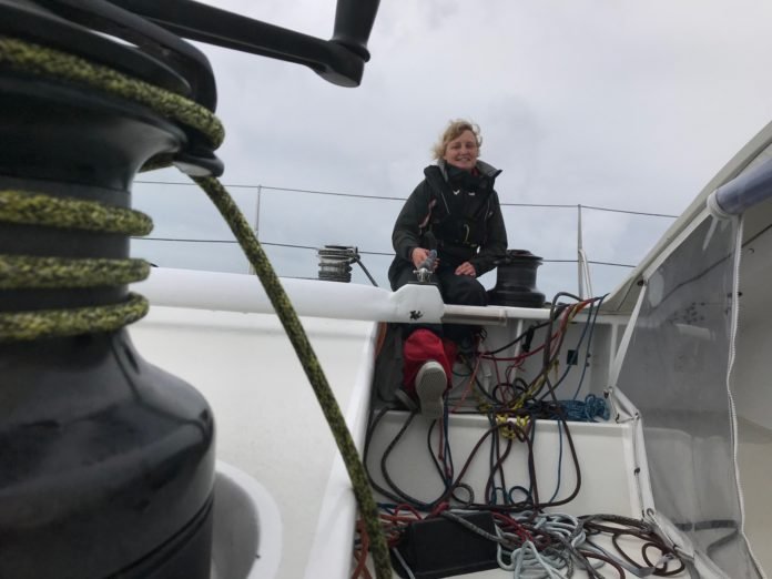 pip-hare-r-1600-1200