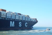 Movimentação no Complexo Portuário do Rio Itajaí-Açu mantém índices positivos em 2020