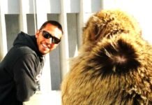 Velejador português Renato Conde:”Falta que os portugueses acreditem que somos bons e temos capacidade”