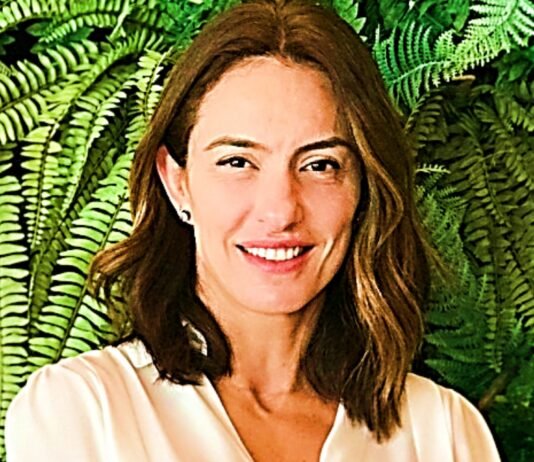 Decoração: dicas de como cultivar plantas em casa