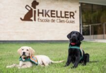 Campanha doa 10 centavos para cada litro de combustível abastecido para a Escola Helen Keller