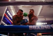 Esquiva Falcão só volta a lutar em 2021