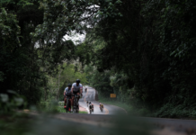 L’Étape Brasil by Tour de France faz história e entrega prova perfeita em 2020