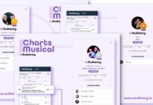 Sertanejo dominou as rádios do Paraná na semana da virada