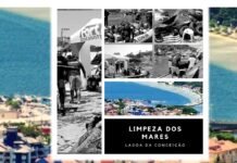 Acatmar avisou: Tragédia da Lagoa da Conceição é anunciada há anos pela entidade