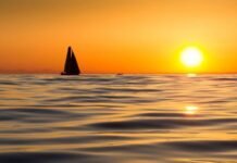 The Ocean Race e TIME firmam parceria