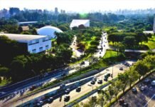 O papel da natureza na construção de cidades inteligentes