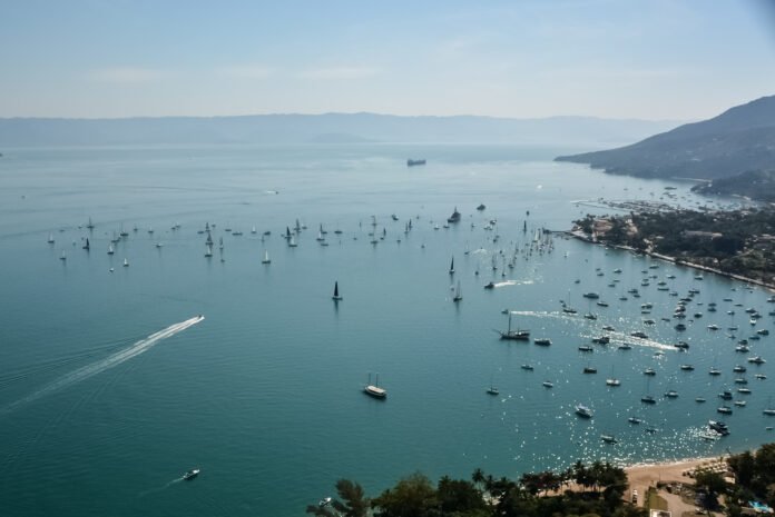 394640_977325_46_sivi_dsc_0236_edu_grigaitis