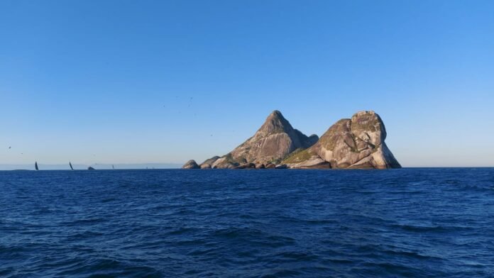 WhatsApp Image 2021-07-25 at 20.51.57