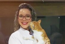 Coluna da Michele Gargano: Você oferece água da torneira para seu pet?