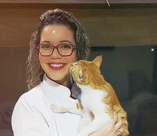 Coluna da Michele Gargano:O Alzheimer em cães e gatos: quais são os sintomas e como prevenir?