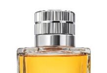 Zaad Santal, nova fragrância do Boticário, contrasta a força da madeira com o frescor das notas especiadas