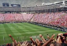 Torcedor flamenguista de série da Betfair.net projeta ida à final da CONMEBOL Libertadores