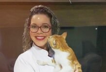 Coluna da Michele Gargano: Por que meu pet tem coceira?