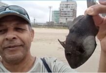 Blog do Adilson Pacheco – Pauta – peixes morrem na areia da praia