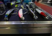 Pesca & Companhia Trade Show supera meta de negócios no setor