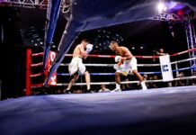 Resultados do Boxing For You 11