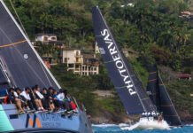 Phytoervas 4Z fecha Semana de Vela com bronze