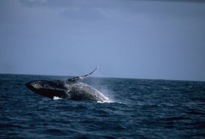 WhatsApp Image 2022-07-19 at 15.34.41 (1)