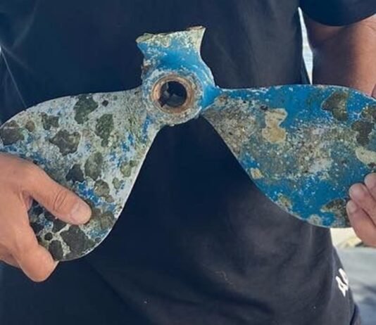 Dia 10 : Veleiro Gosto D’Água bate em baleia jubarte e quebra hélice na madrugada, 20 milhas -38km- Sul da Bahia.