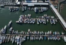 ECONOMIA DO MAR CRESCE EM ITAJAI E MOVIMENTA MAIS DE 600 MILHÕES NO MERCADO