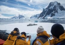Latitudes anuncia viagem inédita à Antártica em navio privativo