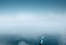 Alicante – “It’s the ultimate team test” | The Ocean Race Preview | Eurosport