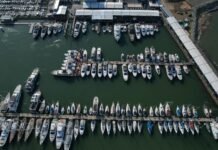 Marina Itajaí lança camiseta 100% ecológica – as peças foram produzidas com materiais biodegradáveis para impactar o mínimo possível o meio ambiente