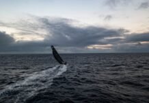Um cenário fantástico registrado pelo drone do Mirpuri Foundation Racing Team