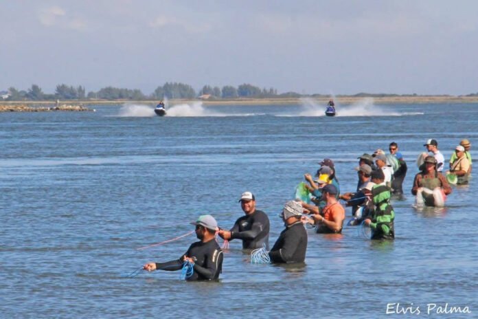 3448153_resize_1500_1500