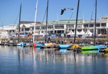 The Ocean Race – In-Port Race de sexta-feira como Assistir a Corrida In-Port da Cidade do Cabo