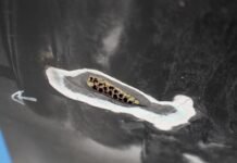 IMOCA GUYOT – A Equipe Europa está bem encaminhado para retornar a Regata The Ocean Race.