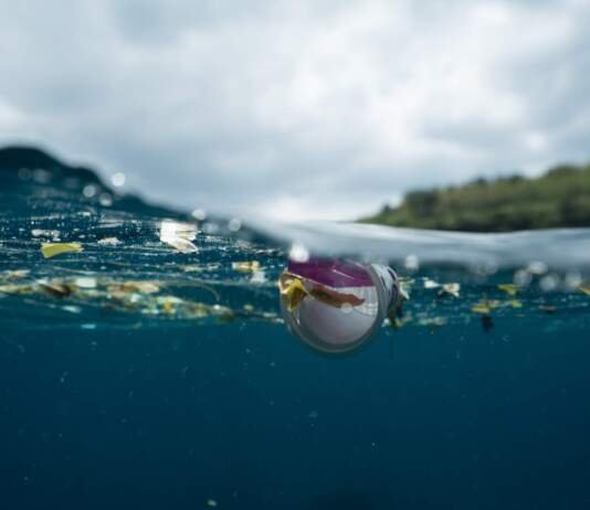Vela – Regata para coleta de plásticos e outros lixo no Oceano Atlântico sul
