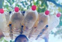 Surfe pela Sustentabilidade: Festival de Pranchas de Garrafas PET ocorre na sexta em Itajaí