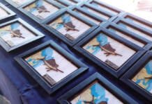 Ilhéus (BA) sedia a 2ª etapa do Campeonato Baiano de Pesca Oceânica 2023