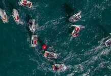 Crianças do YCB participam da Copa Brasil de Optimist no Veleiros da Ilha