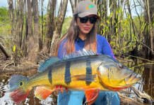 Trade Show convoca time de influenciadores para aumentar visibilidade da feira