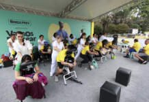 Festival Vamos Passear 2024 chega a São Paulo em julho, no Parque Villa-Lobos festival-vamos-passear