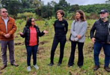 CBVela faz plantio de árvores em comemoração ao Dia Internacional do Meio Ambiente