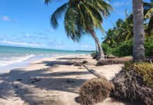 Litoral Norte, em Alagoas, recebe a corrida 21K Costa dos Milagres, em setembro