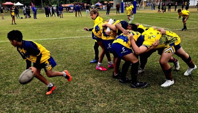 439967_1114189_festival_de_rugby