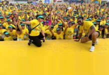 Festival Vamos Passear é opção de lazer gratuito no Parque Municipal, em Belo Horizonte, neste domingo (28)