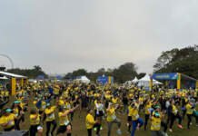 Festival Vamos Passear tem lazer gratuito no Parque da Cidade, em Brasília (DF), no domingo (14)