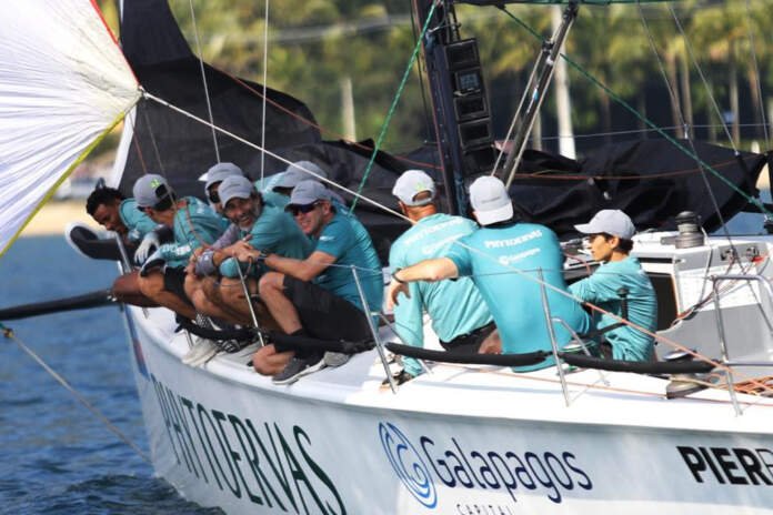 phytoervas-na-sivi-51