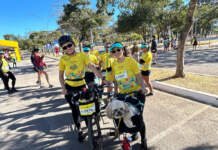 Festival Vamos Passear reúne 3.700 pessoas no Parque da Cidade, em Brasília