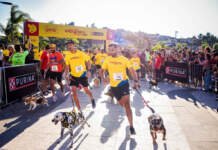 Corre com seu pet? Confira os cuidados necessários para a atividade