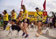 Cachorrida e Garotada crescem e completam o sucesso da 33ª Edição das Dez Milhas Garoto