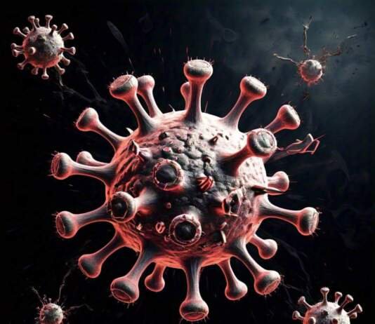 Viroses no verão: como o calor e a umidade potencializam a propagação de doenças Divugacão