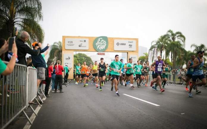 450167_1147076_ecorun_foto1_web_