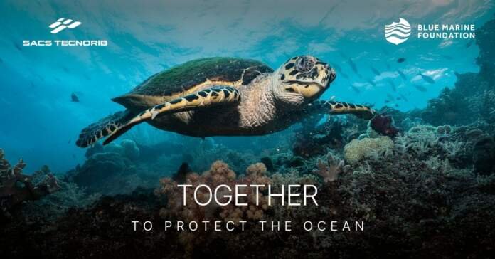 Blue Marine Foundation